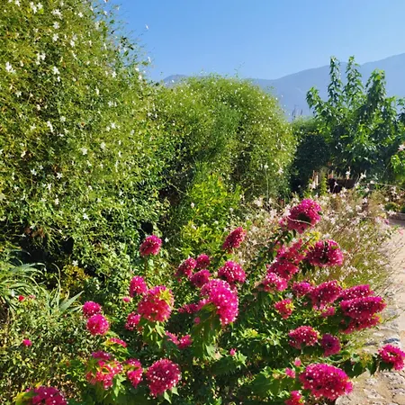 アパート Korallis *