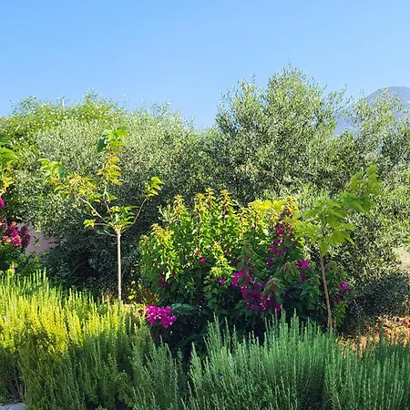 Korallis アパート