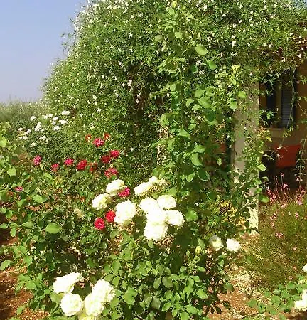 アパート Korallis *