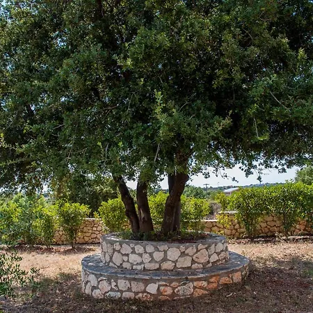 Korallis * Karavádhos