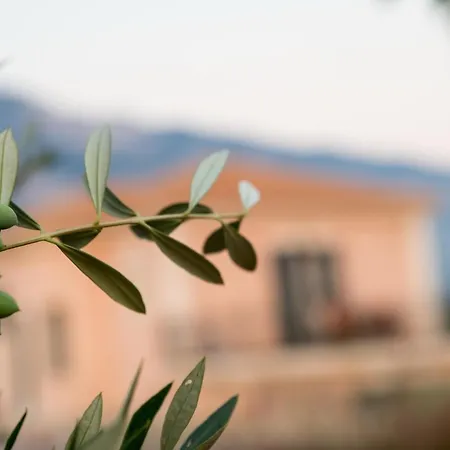 Korallis アパート *