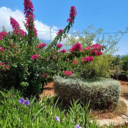 Korallis * Karavádhos