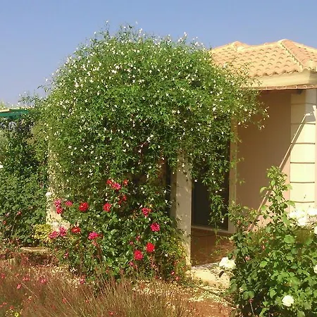 Korallis Karavádhos